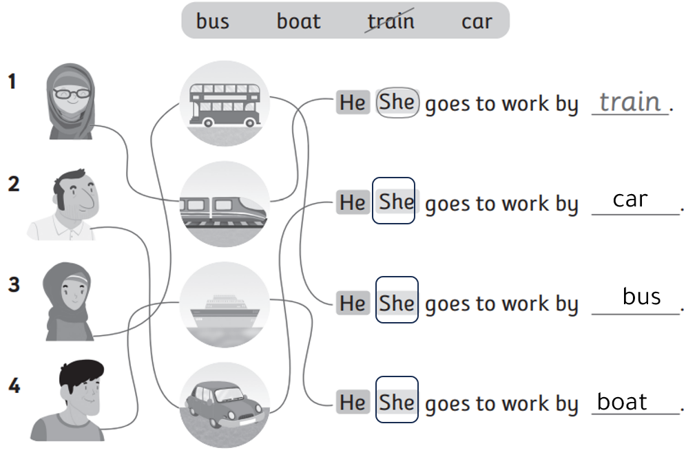 bus boat train